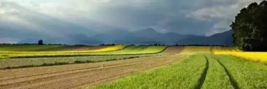 2017年農業(yè)補貼申請已經開始，這30個項目都可以拿到國家補貼